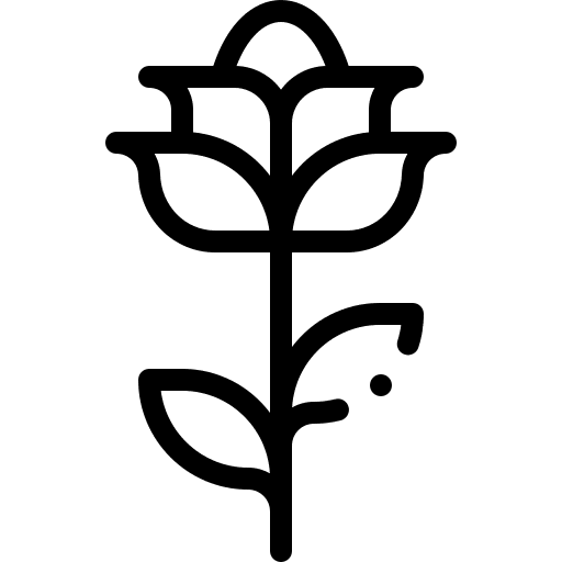 Rose petals nature botanical icon