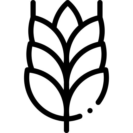 Wheat wheat farming and gardening branch icon