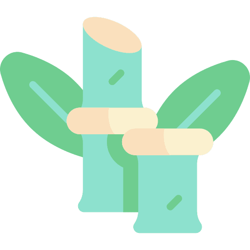 Bamboo plant chinese nature icon