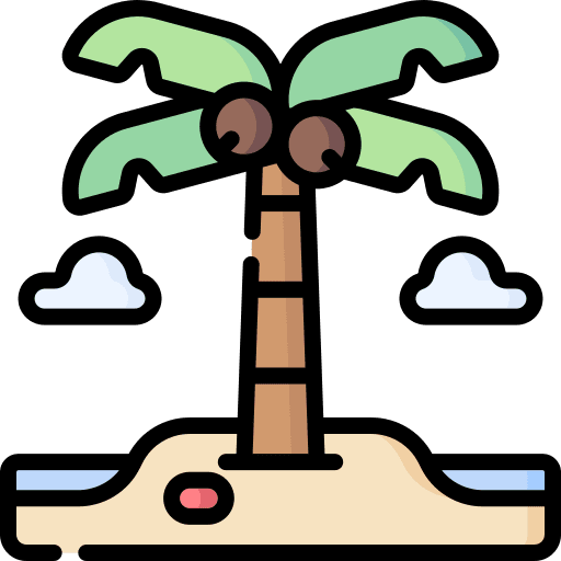 Coconut tree beach weather coconut tree icon