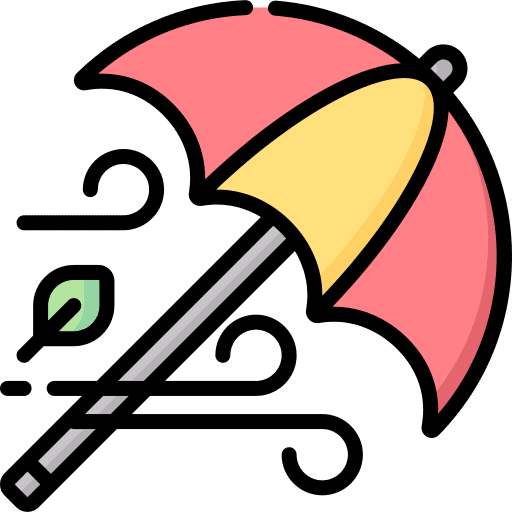 Wind winter meteorology leaves icon