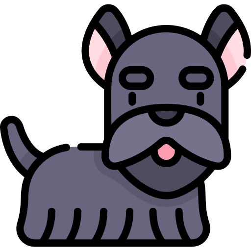 Dog dog canine zoology icon