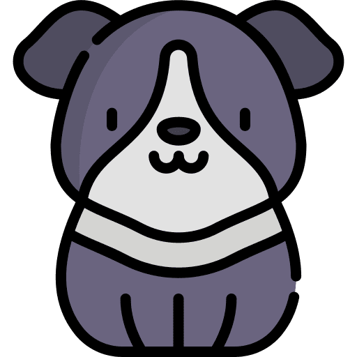Dog pet dog animals icon