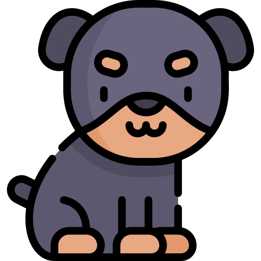 Dog pet zoology animals icon