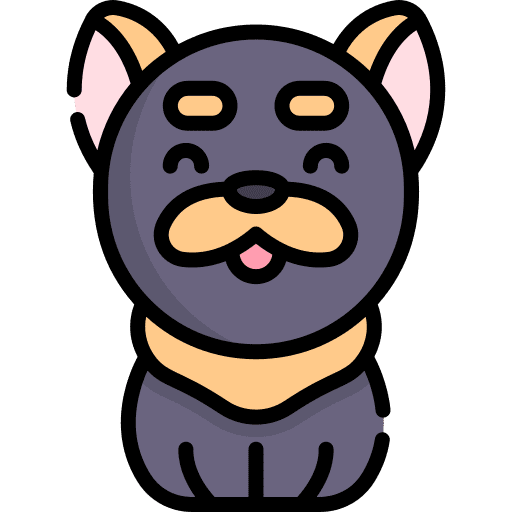 Dog breed pet animals icon