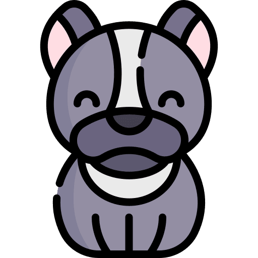 Dog breed zoology pet icon