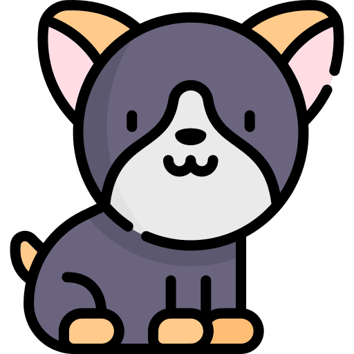 Dog canine zoology pet icon