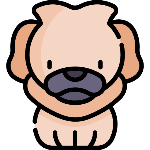 Dog dog animals pet icon