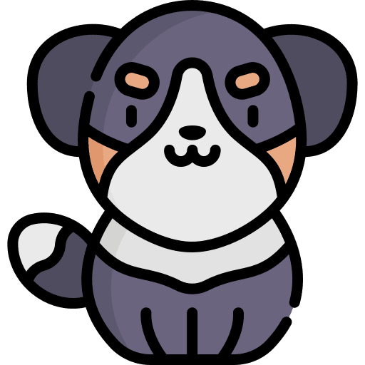 Dog dog breed pet icon