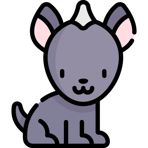 Dog pet canine animals icon