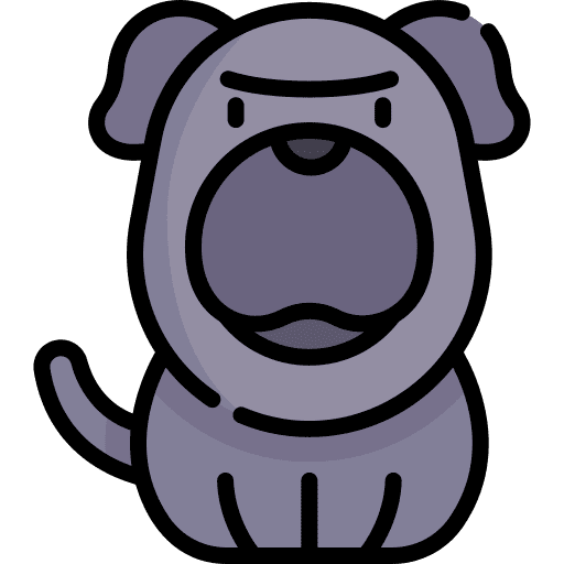Dog zoology breed pet icon