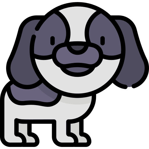 Dog zoology canine dog icon