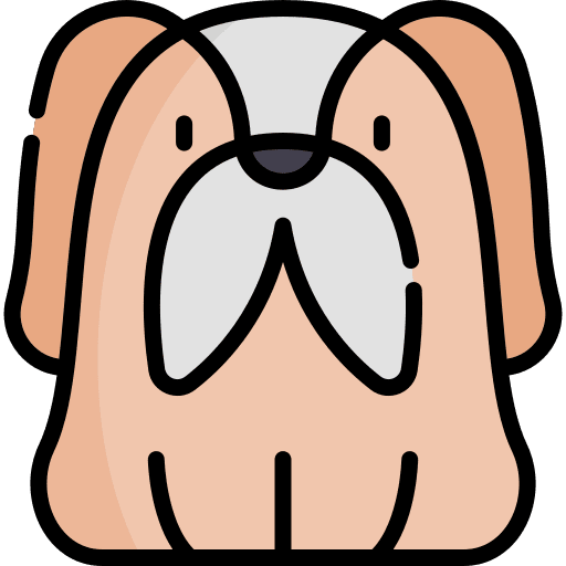 Dog zoology dog canine icon