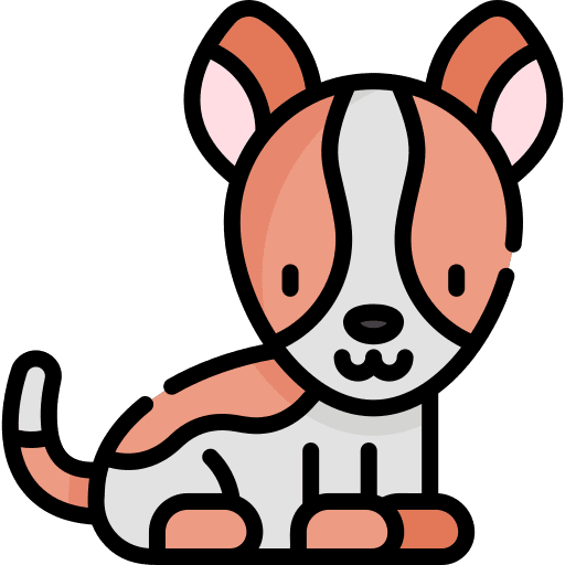 Dog animals dog zoology icon