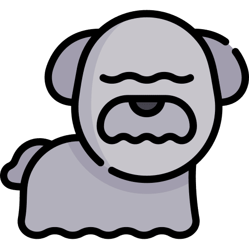 Dog breed zoology pet icon