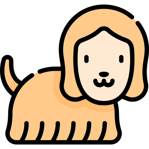 Dog canine dog zoology icon