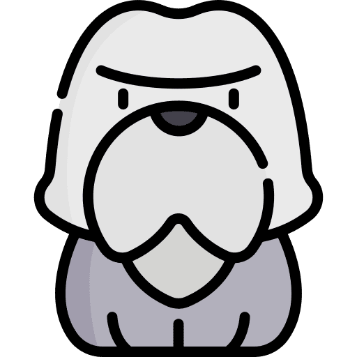 Dog dog canine pet icon