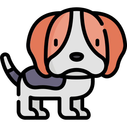 Dog pet dog zoology icon