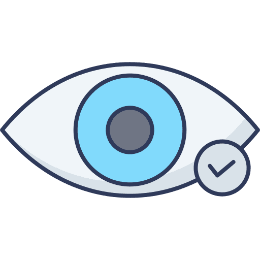 Eye view correct visible icon
