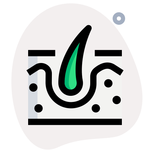 Dermis skin dermathology dermis icon