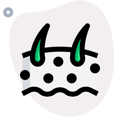 Epidermis follicle hair follicle dermathology icon