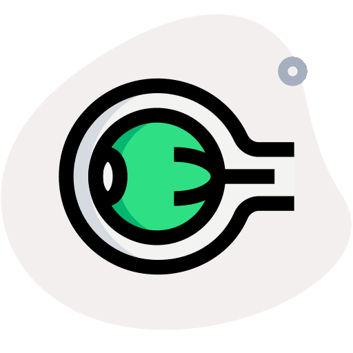 Eyeball eyeball prosthetic iris icon