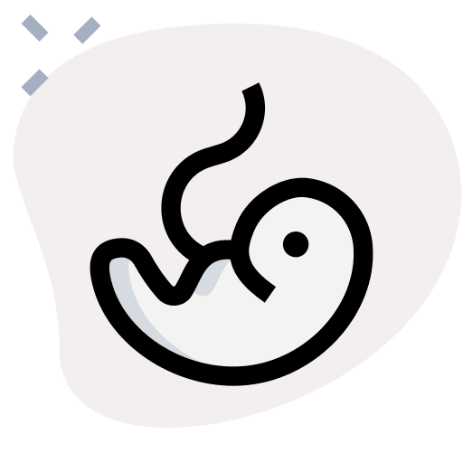 Fetus pregnant womb pregnancy icon