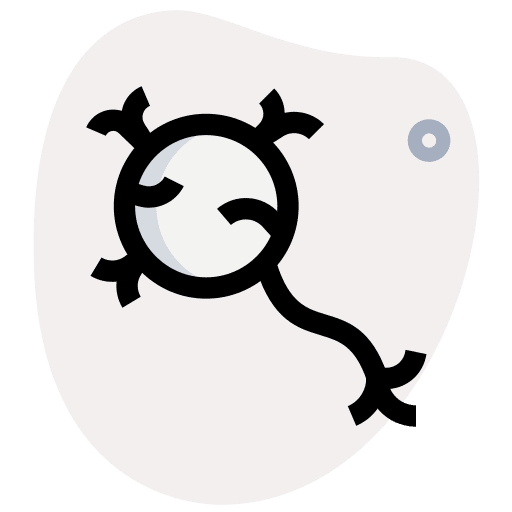 Neuron brain anatomy human brain icon