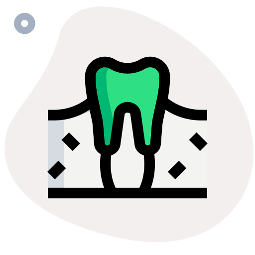 Tooth molar premolar medical icon