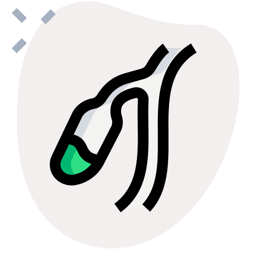 Gallbladder education body part anatomy icon