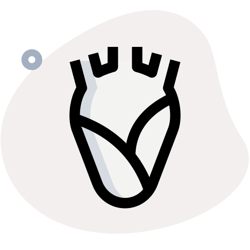 Heart body parts organ healthcare and medical icon