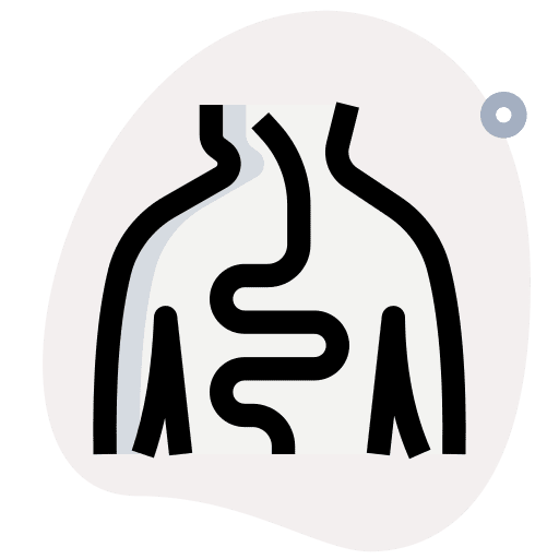 Human body organ human body medical icon