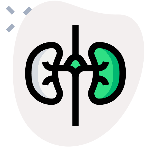 Kidneys urologist body part kidneys icon