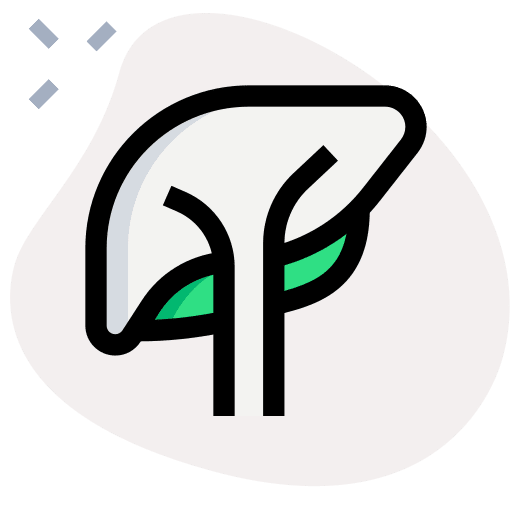 Liver transplant anatomy human body icon