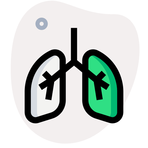 Lungs human lungs breathe human organs icon