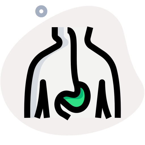 Stomach pain digestion anatomy icon
