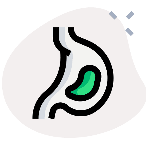 Acid organ anatomy human organs icon