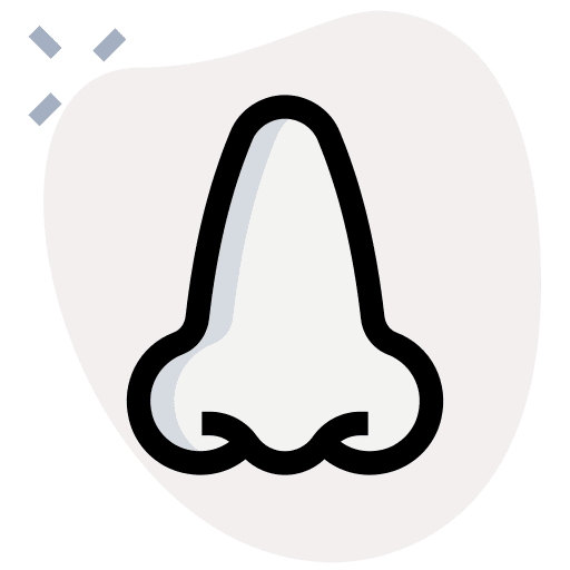 Nose nose healthcare and medical medical icon