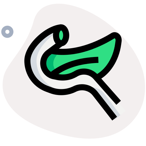 Pancreas anatomy pancreas human organ icon