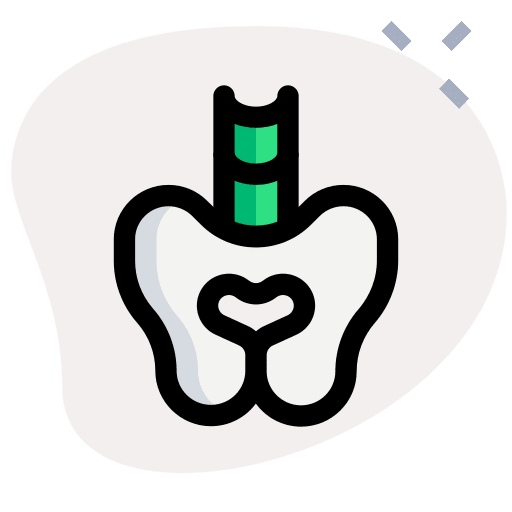 Pelvis healthcare and medical hip bone icon