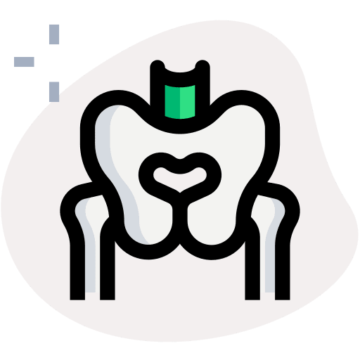 Pelvis medical healthcare and medical pelvic area icon