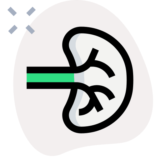 Spleen healthcare and medical human body organs icon