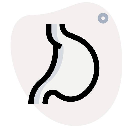 Stomach body organ digestion icon