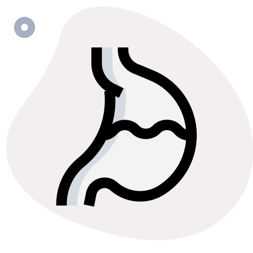 Stomach organ stomach anatomy icon