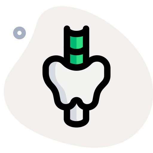 Thyroid thyroid gland larynx body organ icon