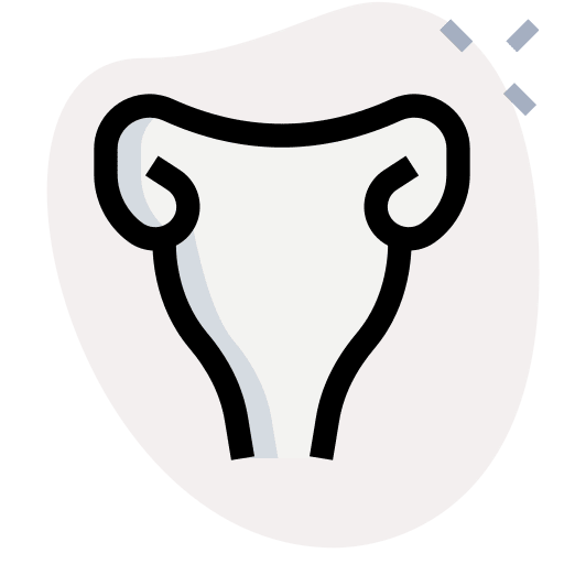Uterus anatomy ovaries female organs icon