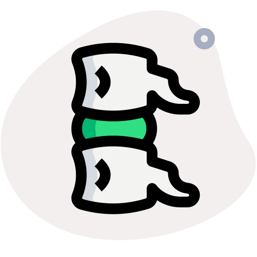 Spine spinal column backbone bones icon