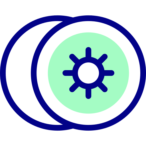 Kiwi vegan kiwi organic icon