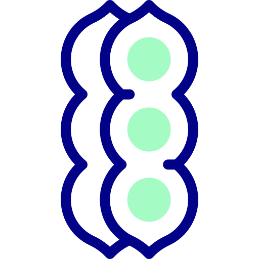 Soybean vegetarian plant grain icon