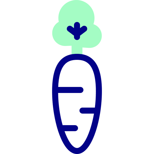 Carrot diet healthy food vegetarian icon